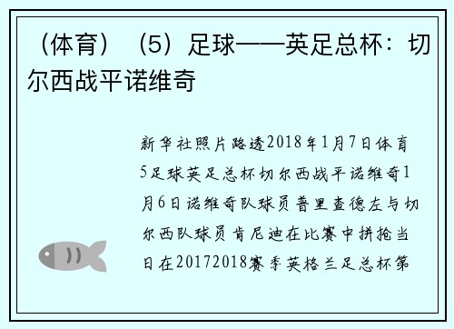 （体育）（5）足球——英足总杯：切尔西战平诺维奇